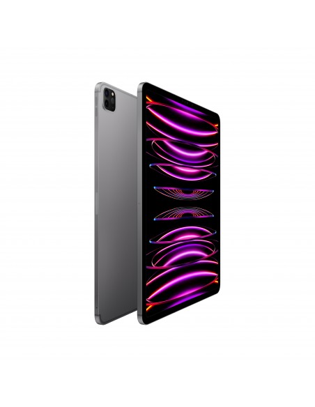 ipad-pro-12-wi-fi-cellular-2tb-grigio-siderale-2.jpg