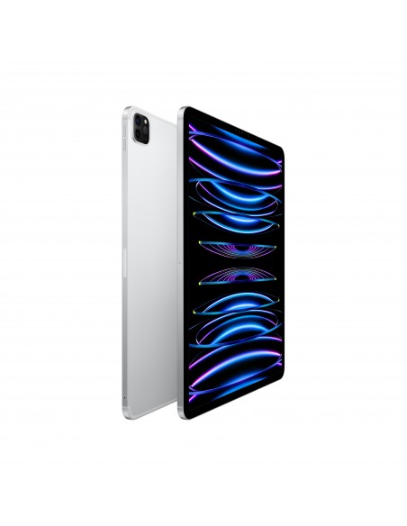 ipad-pro-12-wi-fi-cellular-2tb-argento-2.jpg