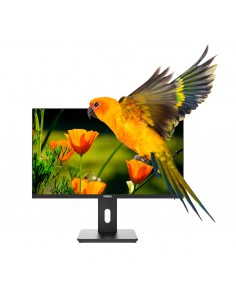 monitor-24-reg-va-hdmi-dp-multim-1.jpg