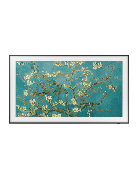 tv-65-poll-frame-serie-2023-9.jpg