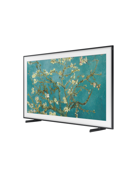 tv-65-poll-frame-serie-2023-13.jpg