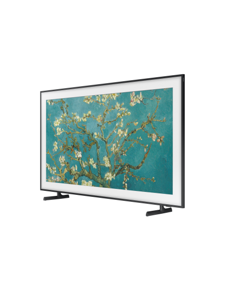 tv-65-poll-frame-serie-2023-14.jpg