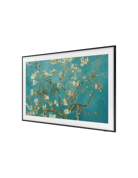 tv-65-poll-frame-serie-2023-15.jpg