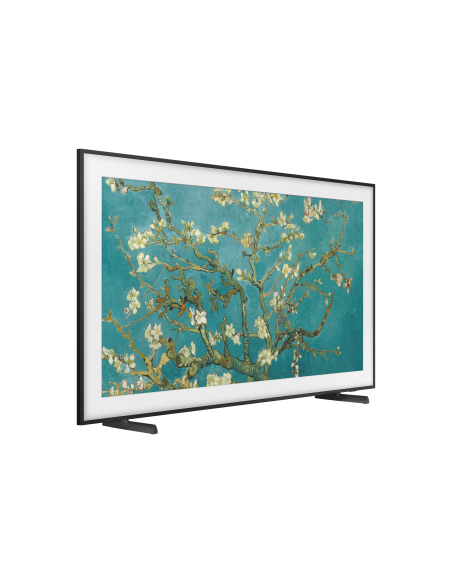 tv-65-poll-frame-serie-2023-16.jpg