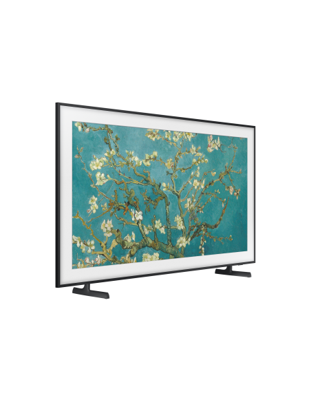 tv-65-poll-frame-serie-2023-17.jpg