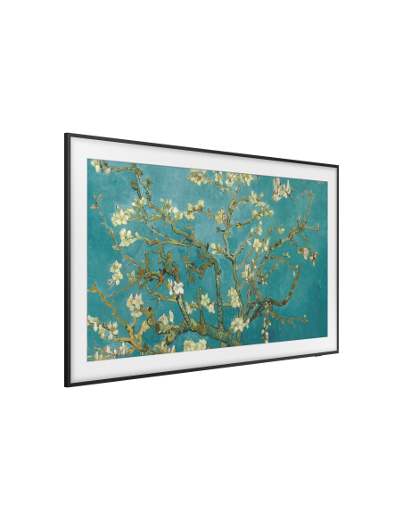 tv-65-poll-frame-serie-2023-18.jpg