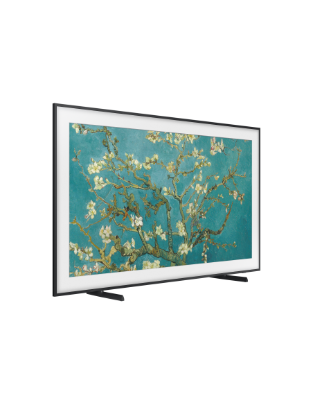 tv-75-poll-frame-serie-2023-16.jpg