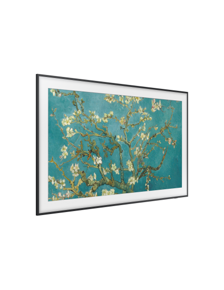 tv-75-poll-frame-serie-2023-18.jpg