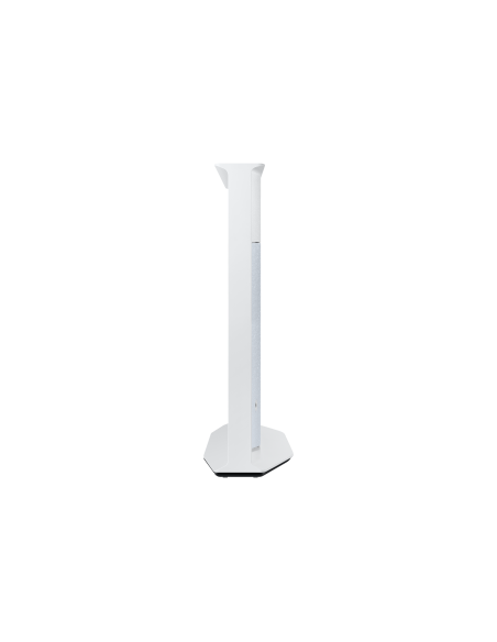50-poll-serif-4k-2023-cloud-white-3.jpg