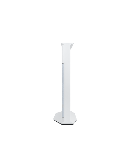 50-poll-serif-4k-2023-cloud-white-5.jpg