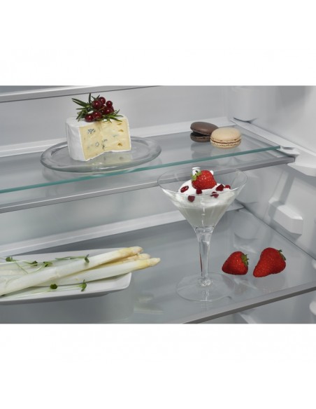 aeg-frigo-incasso-tsc7g181ds-eno-frost-54-cm-1772-cm-549-cm-total-no-frost-greenzone-5.jpg