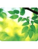 Fellowes Tappetino per Mouse Verde - 5903801