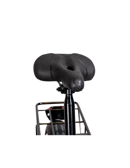 emg-e-bike-bomber-f20-grey-2023-fat-bike-pieghevole-ruote-20-batteria-36v-10ah-integrata-8.jpg