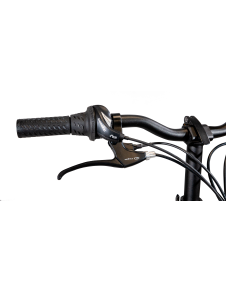 emg-e-bike-bomber-f20-grey-2023-fat-bike-pieghevole-ruote-20-batteria-36v-10ah-integrata-9.jpg