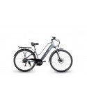 EMG E-BIKE QUEEN 28P City GREY ruote 28", Batt. 36V 13ah, motore 250W, autonom. 60/70km