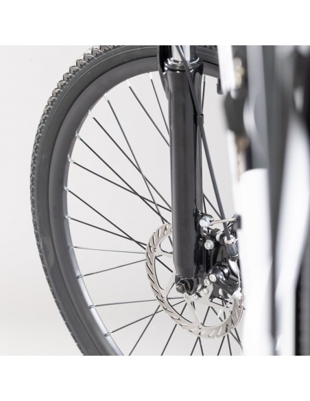 emg-e-bike-queen-28p-city-white-ruote-28-batt-36v-13ah-motore-250w-autonom-60-70km-4.jpg