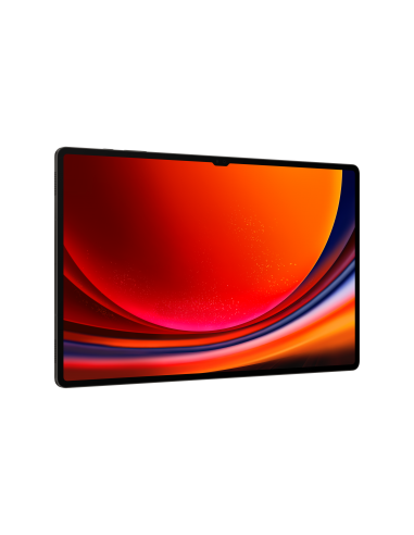 galaxy-tab-s9-ultra-146-12gb-512gb-wifi-graphite-4.jpg