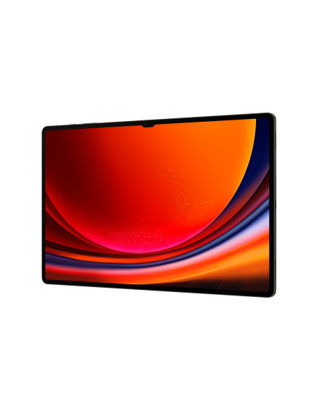 galaxy-tab-s9-ultra-146-12gb-256gb-5g-graphite-5.jpg