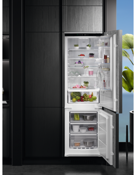 frigo-inc-combi-256lt-h178-nf-traino-2.jpg