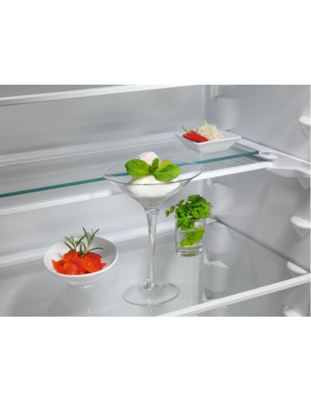 frigo-inc-combi-256lt-h178-nf-traino-4.jpg