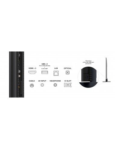 tcl-lcd-98-c805-mini-led-uhd-google-98-uhd-mini-led-google-tv-audio-onkyo-11.jpg