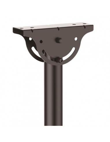 startechcom-supporto-da-soffitto-per-televisione-a-schermo-piatto-multidirezionale-palo-da-25m-a-29m-fpceilptblp-4.jpg
