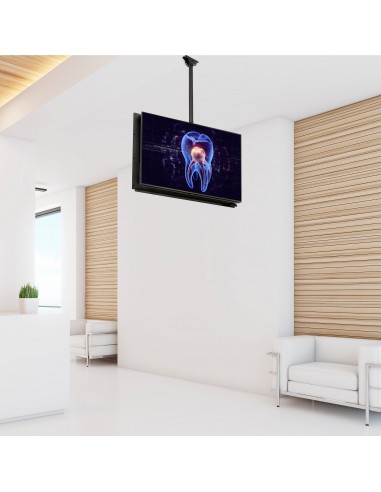 startechcom-supporto-tv-da-soffitto-back-to-back-palo-da-106cm-a-152cm-fpceilbtb-8.jpg