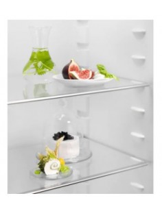 mono-inc-stat-122-e-208l-1.jpg 2