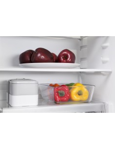 frigo-inc-2p-239lt-h157-traino-1.jpg 2