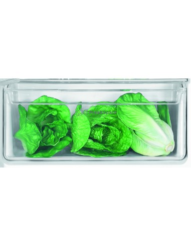frigo-inc-2p-205lt-h145-traino-10.jpg