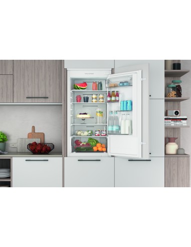 frigo-inc-combi-250lt-h177-nf-pushgo-inverter-traino-6.jpg