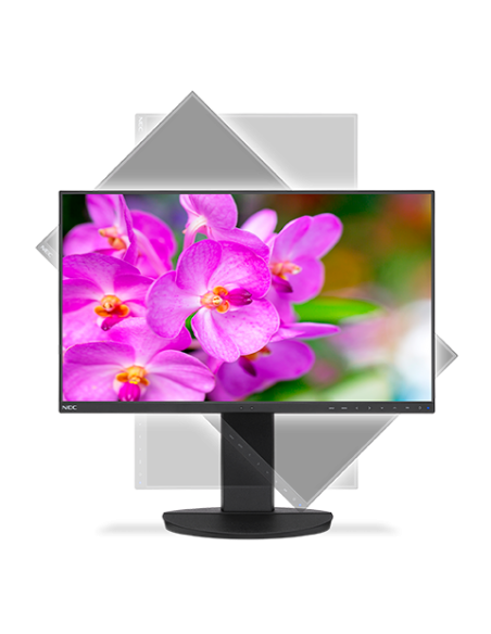 multisync-ea241f-black-60004786-5.jpg