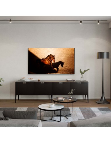 qe77s85daexzt-qled-tv-77-poll-9.jpg