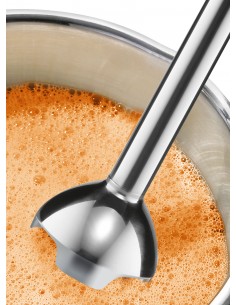 bosch-mixer-immersione-msm24100-1.jpg 2