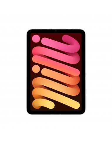 ipad-mini-wi-fi-cellular-256gb-starlight-1.jpg
