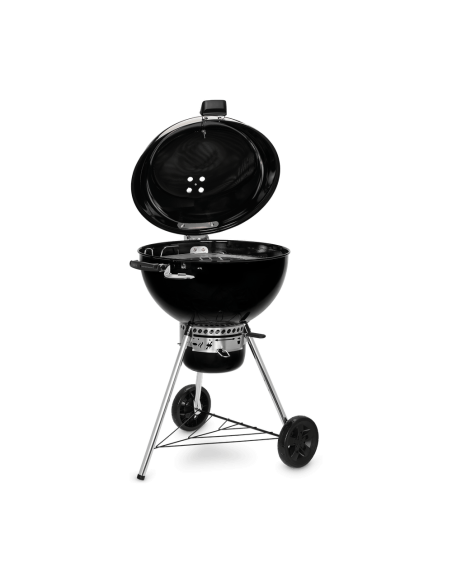 barbecue-master-touch-gbs-premium-se-e-5775-2.jpg