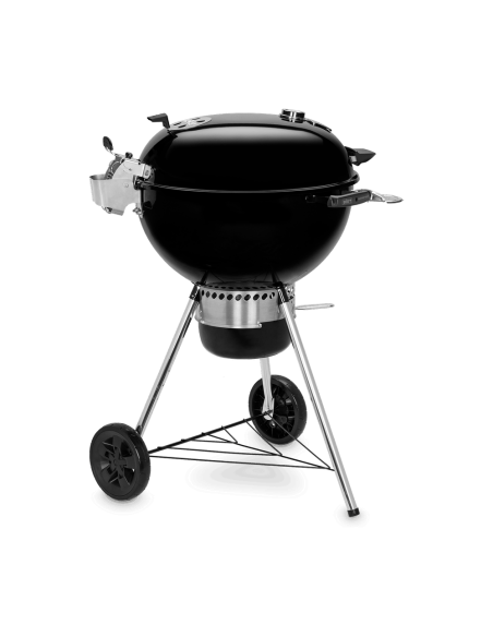 barbecue-master-touch-gbs-premium-se-e-5775-3.jpg