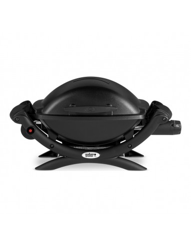 barbecue-a-gas-portatile-q-1000-50010053-1.jpg