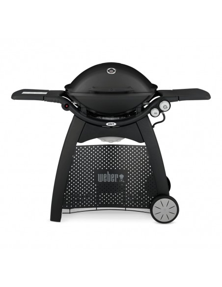barbecue-a-gas-q-3000-56010029-1.jpg