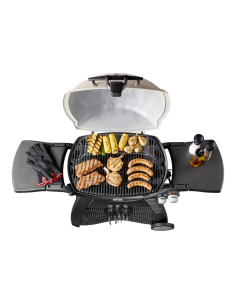 barbecue-a-gas-q-3000-56010029-1.jpg 2