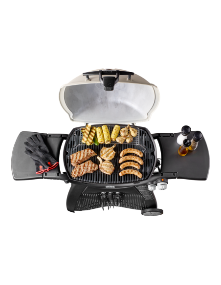 barbecue-a-gas-q-3000-56010029-2.jpg