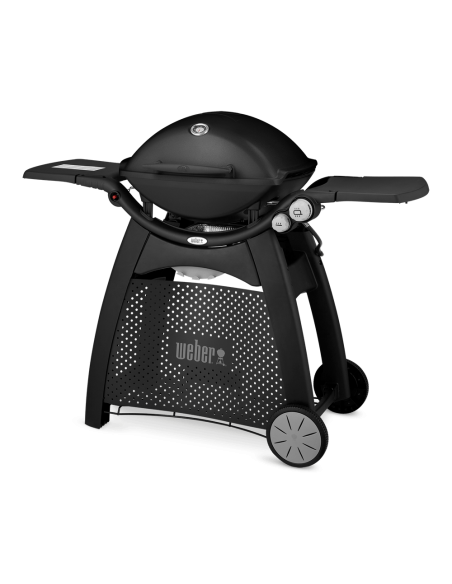 barbecue-a-gas-q-3000-56010029-3.jpg