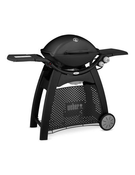 barbecue-a-gas-q-3000-56010029-4.jpg