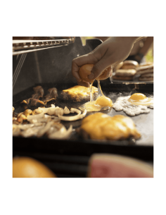 weber-crafted-piastra-grande-7682-1.jpg 2