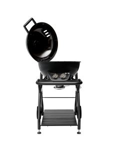 barbecue-a-gas-ascona-570-g-1812796-1.jpg 2