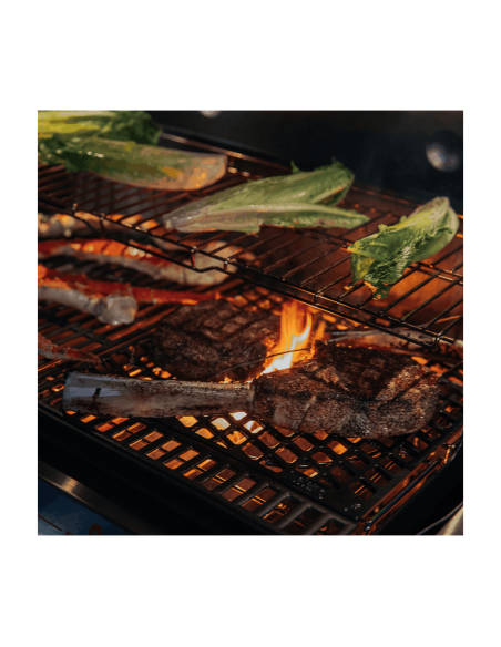 weber-crafted-griglia-di-rosolatura-7680-7.jpg
