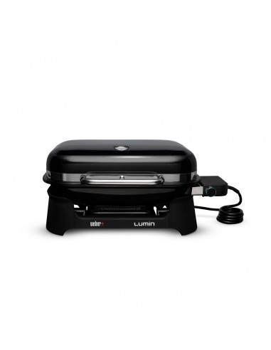 barbecue-elettrico-lumin-1.jpg