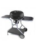 Fieldmann FZG_1014 Barbecue a Carbone con coperchio