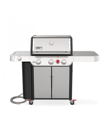 genesis-s-335-35400029-1.jpg