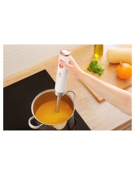 frullatore-a-immersione-batteria-wh-12.jpg